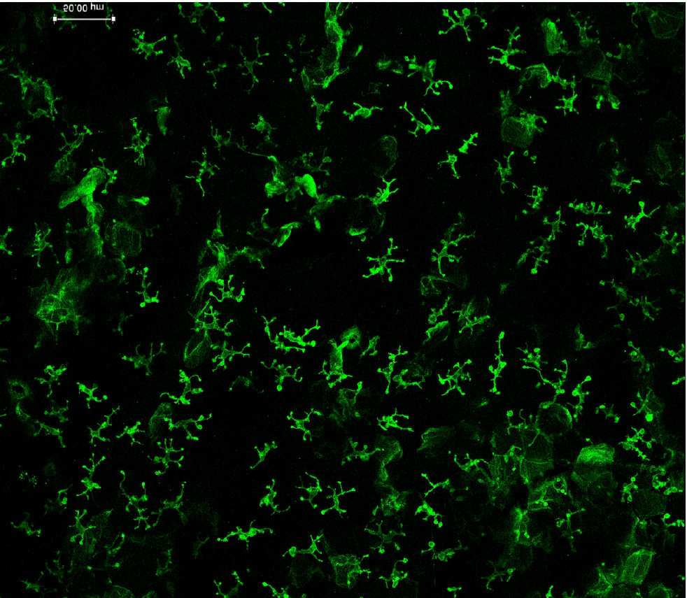 Bildschirmfoto 2023-01-19 um 11.42.50 - DFG-founded Research Group FOR 2799