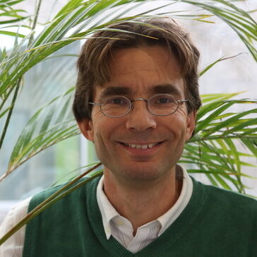 Schamel - DFG-founded Research Group FOR 2799